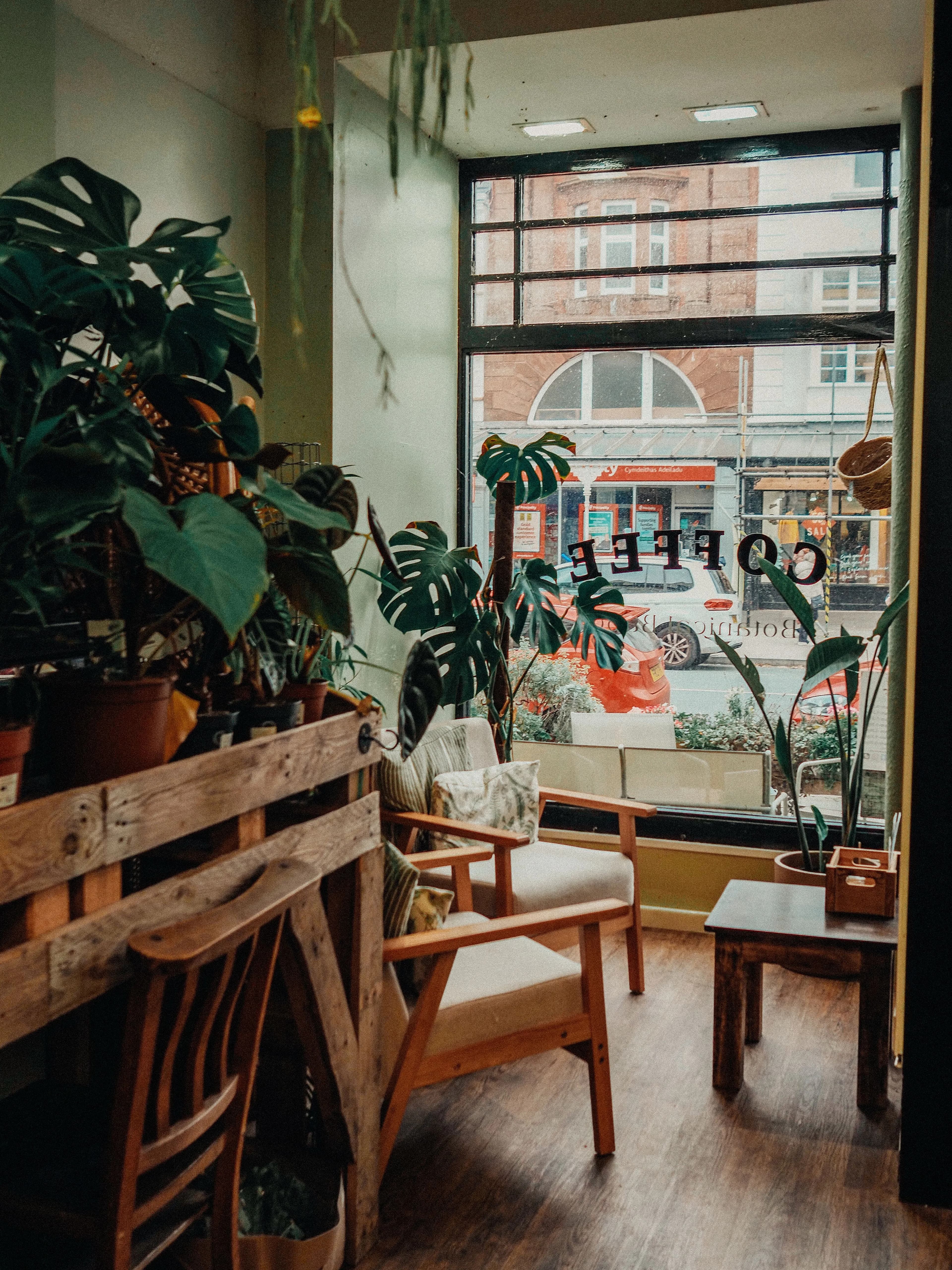 Inviting cafe interior with plants and street view through large window